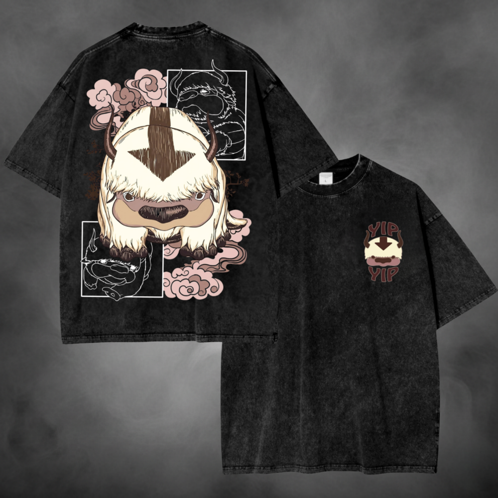 Appa Face V1 Avatar The Last Airbender t-shirt in black