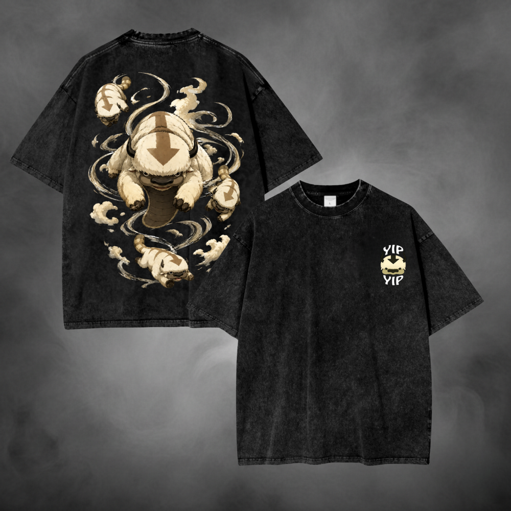 Appa Fly V1 Avatar The Last Airbender t-shirt in black
