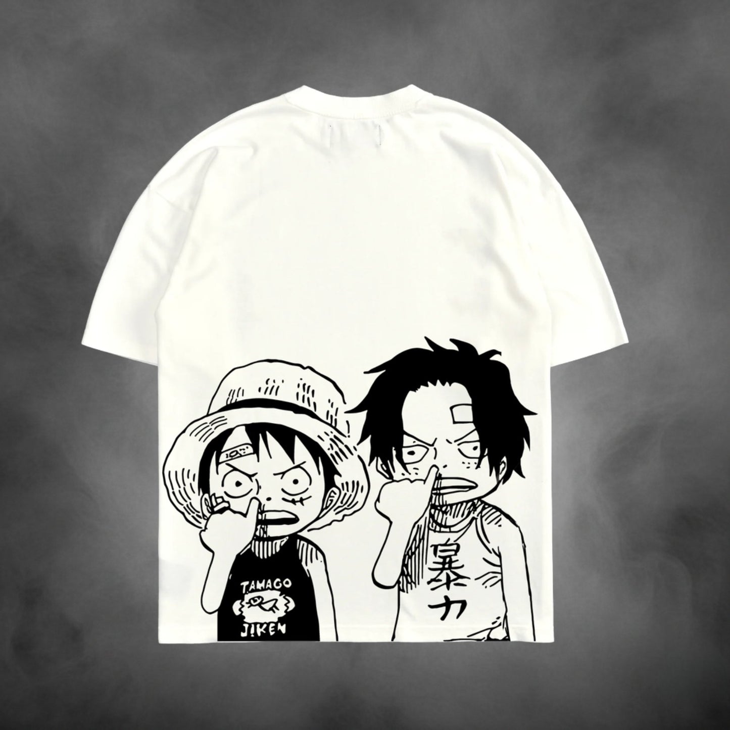 Luffy Ace V1 back